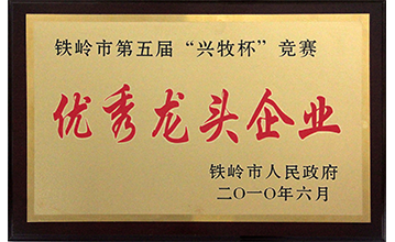 優秀龍頭企業