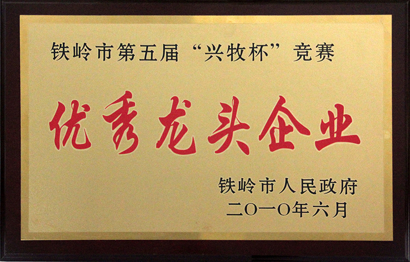 優(yōu)秀龍頭企業(yè)